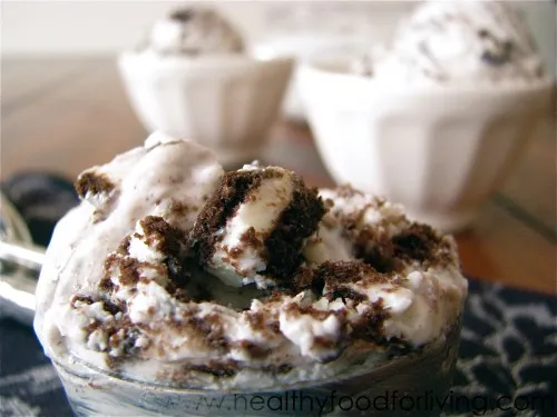 Cookies & Cream Frozen Yogurt

