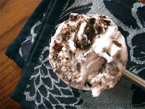 Cookies & Cream Frozen Yogurt

