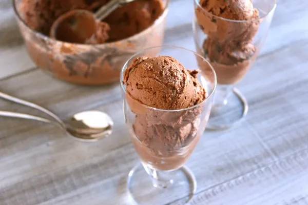 IMG 0849 600x400 1 Dark Chocolate Chunk Frozen Yogurt Recipe