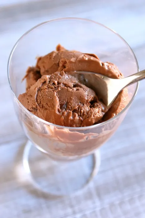 IMG 0857 466x700 1 Dark Chocolate Chunk Frozen Yogurt Recipe