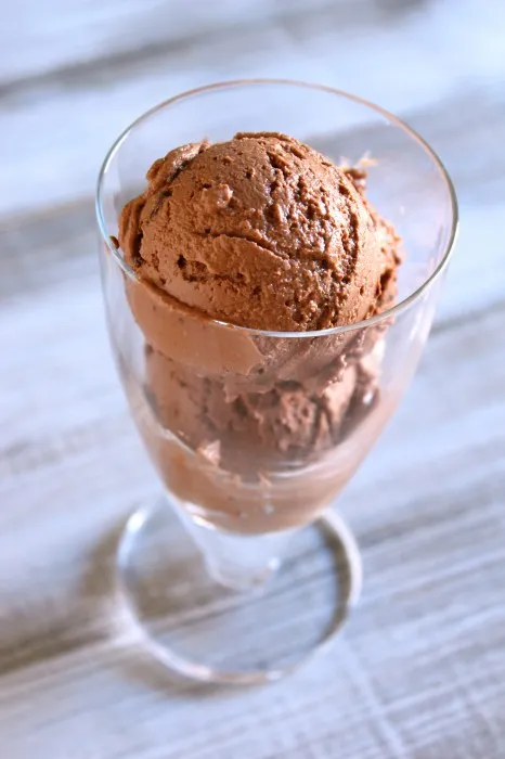 IMG 0859 466x700 1 Dark Chocolate Chunk Frozen Yogurt Recipe