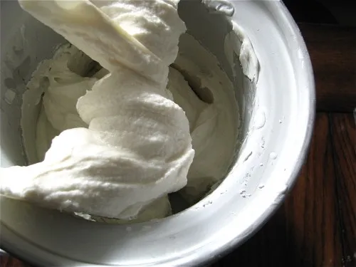 Tart Vanilla Frozen Yogurt