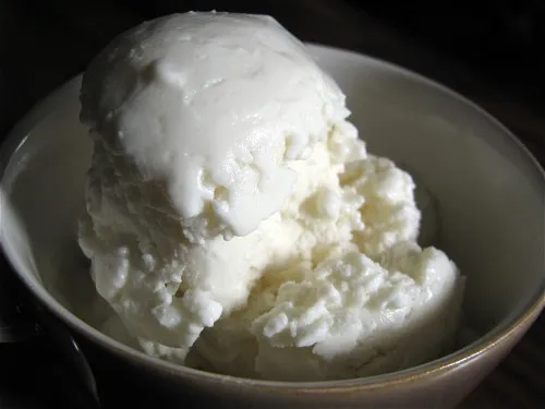 Tart Vanilla Frozen Yogurt