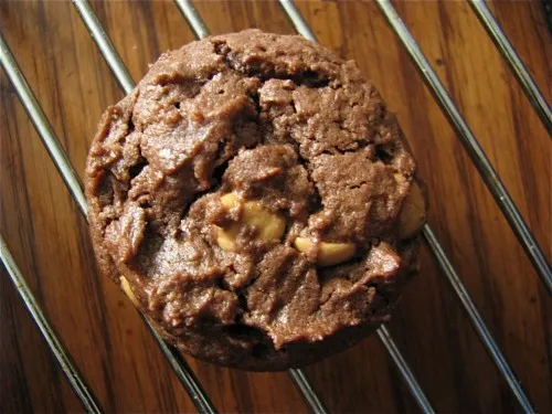 Flourless Dark Chocolate Peanut Butter Cookies