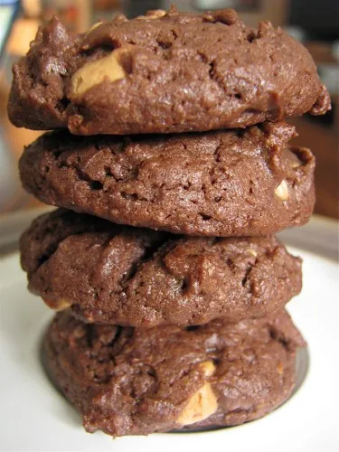 Flourless Dark Chocolate Peanut Butter Cookies