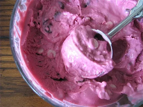 Purple Cow Frozen Yogurt