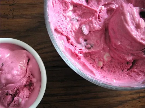 Purple Cow Frozen Yogurt