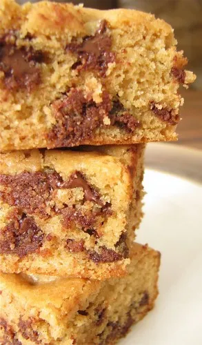 Peanut Butter Chocolate Chip Cookie Bars