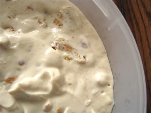 Peanut Butter Cookie Frozen Yogurt