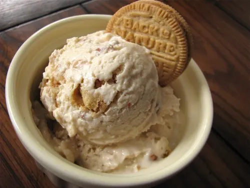 Peanut Butter Cookie Frozen Yogurt