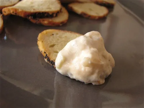 Caramelized Onion & Yogurt Dip 