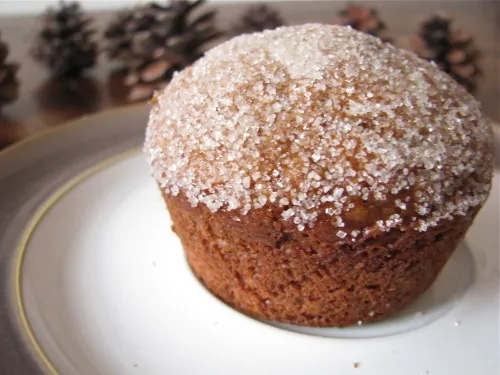 Baked Mini Sugared Gingerbread Doughnuts [and Doughnut Muffins