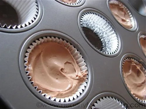 Individual Mint Chocolate Cheesecakes
