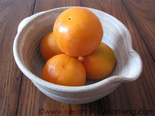 Orange Creamsicle Ice Cream [Vegan]
