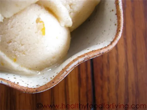 Orange Creamsicle Ice Cream [Vegan]
