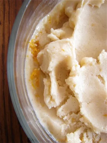 Orange Creamsicle Ice Cream [Vegan]
