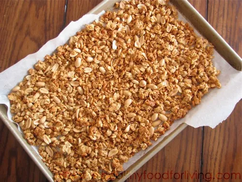 Peanut Butter Granola