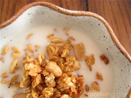 Peanut Butter Granola