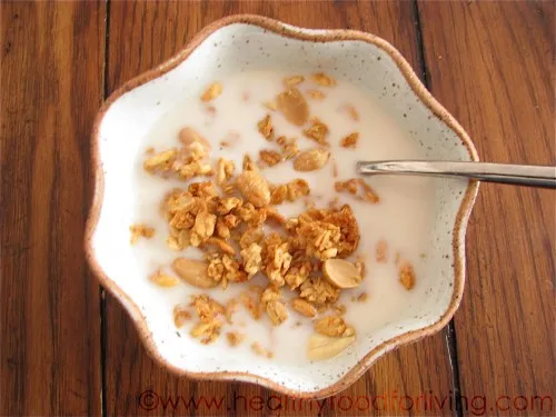 Peanut Butter Granola