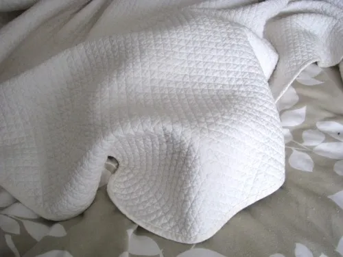 Chocolate Chip Banana Pancakes for One