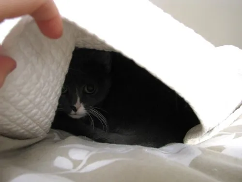 Chocolate Chip Banana Pancakes for One