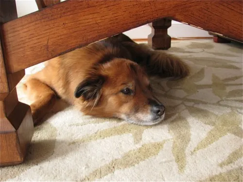Chocolate Chip Banana Pancakes for One
