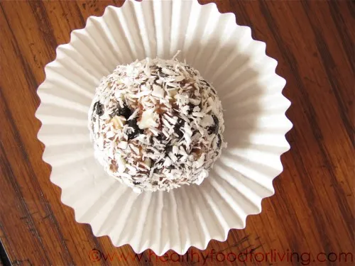 Blueberry Coconut Pie “Truffles”