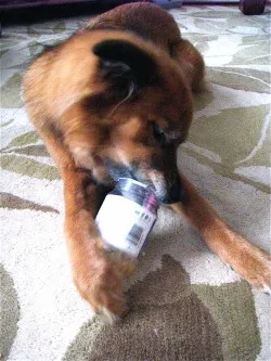 PB & Co. Recipe + Giveaway
