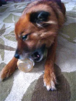 PB & Co. Recipe + Giveaway
