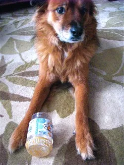 PB & Co. Recipe + Giveaway
