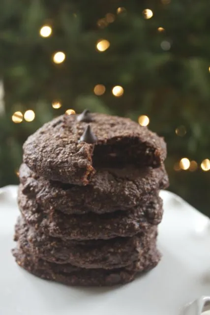 Paleo Double Chocolate Peppermint Cookies