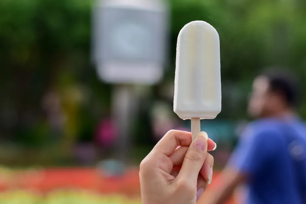 Melon Yogurt Popsicles
