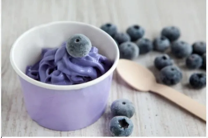 Blueberry-Vanilla Frozen Yogurt
