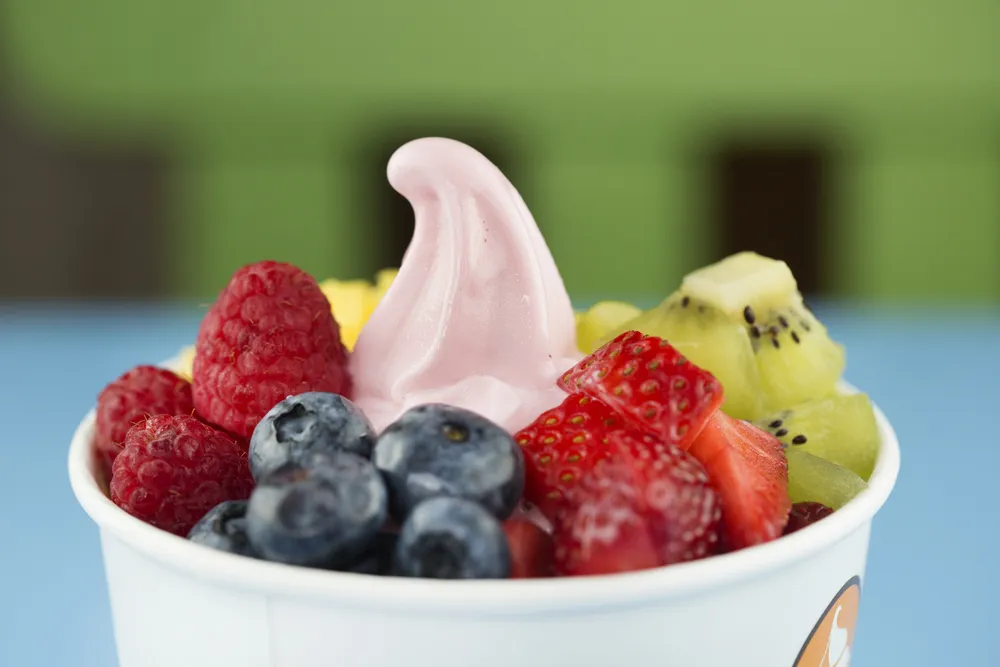 Blueberry-Vanilla Frozen Yogurt