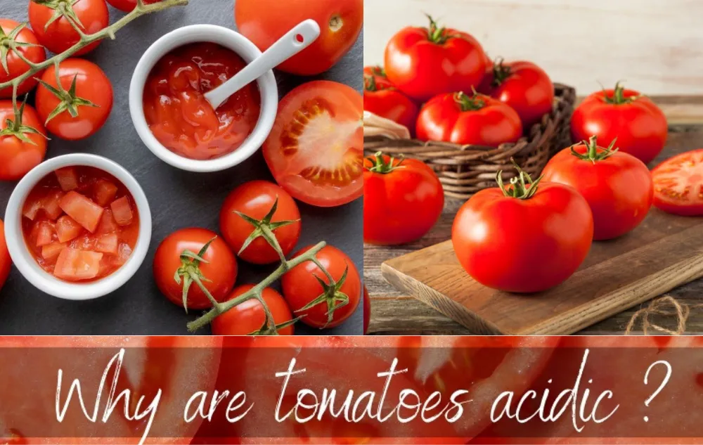 are tomatoes acidic?