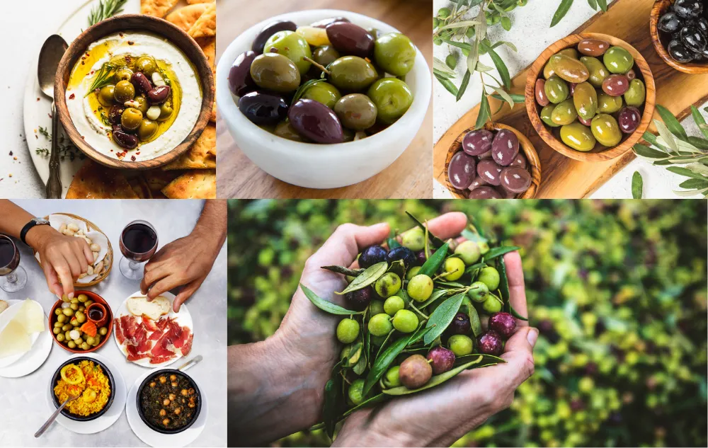 Olive 2 Are Olives Healthy? The Ultimate Guide to Nutrition, Benefits, and Downsides
