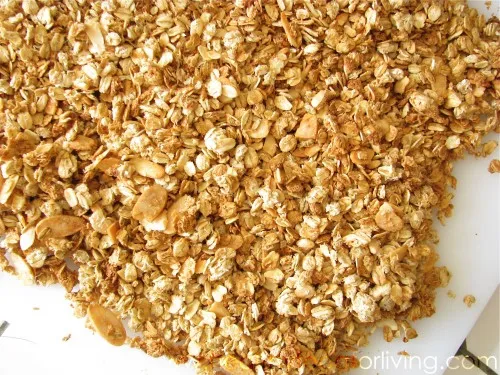 IMG 0229 500x375 1 Almond & Coconut Macaroon Granola
