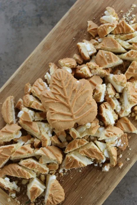 IMG 3146 466x700 1 Maple Cookie Frozen Yogurt