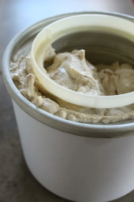 IMG 3155 466x700 1 Maple Cookie Frozen Yogurt