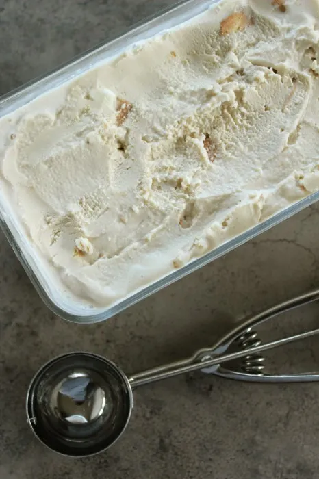 IMG 3159 466x700 1 Maple Cookie Frozen Yogurt