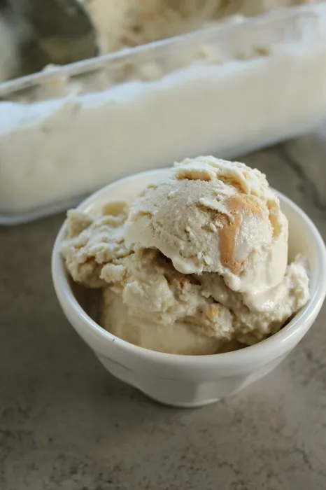 IMG 3166 466x700 1 Maple Cookie Frozen Yogurt