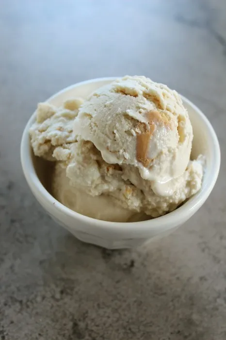 IMG 3168 466x700 1 Maple Cookie Frozen Yogurt