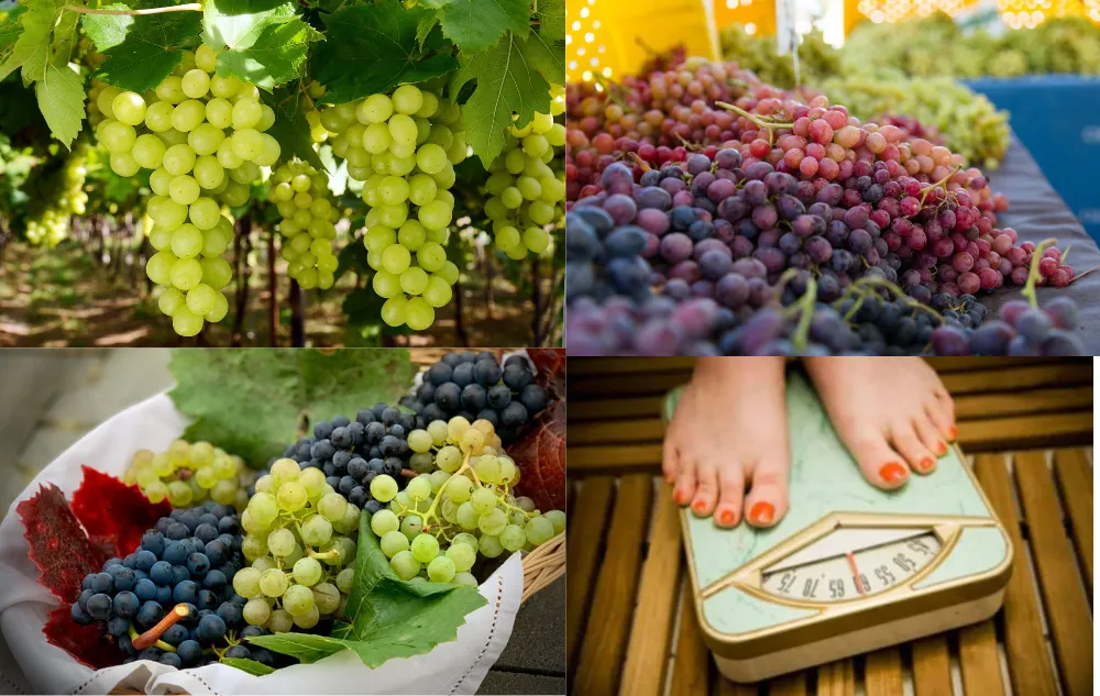 Untitled Design 1 3 Are Grapes Healthy?