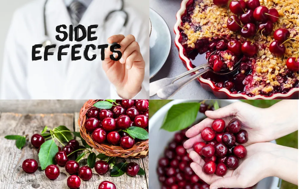 Untitled Design 2 4 Are Cherries Healthy – All You Need to Know