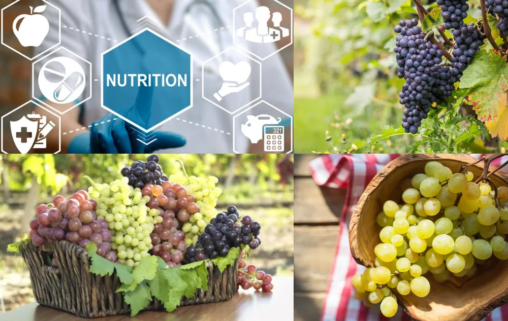 Untitled Design 4 Are Grapes Healthy?