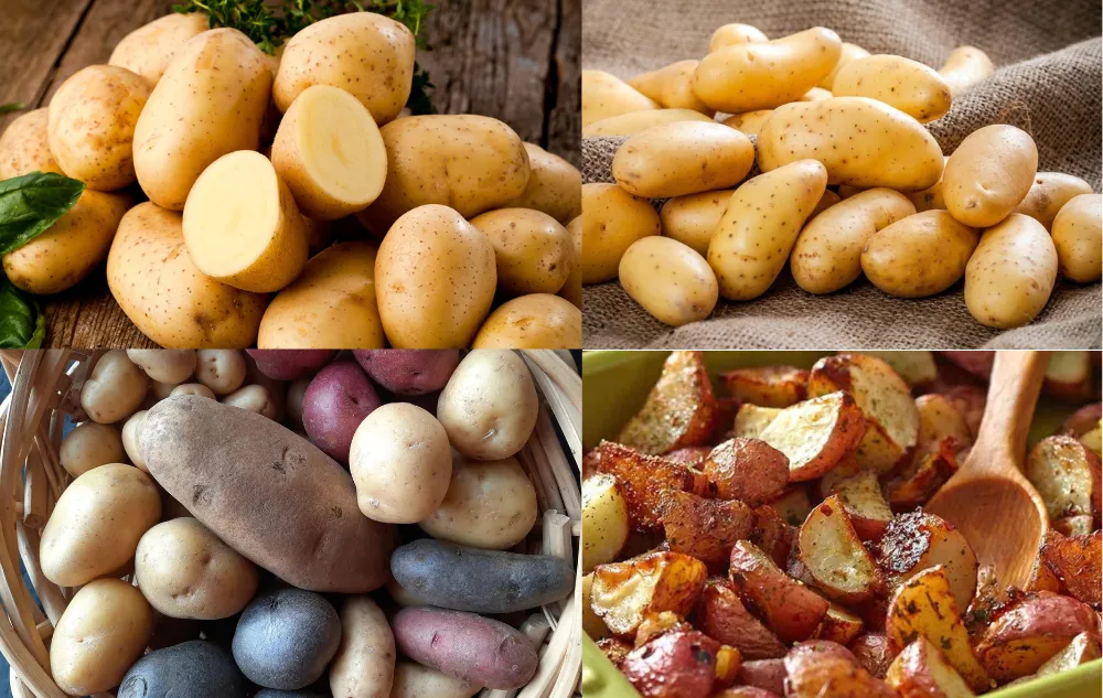 Untitled Design 7 Are Potatoes Healthy? Nutrition, Benefits & Best Ways to Eat