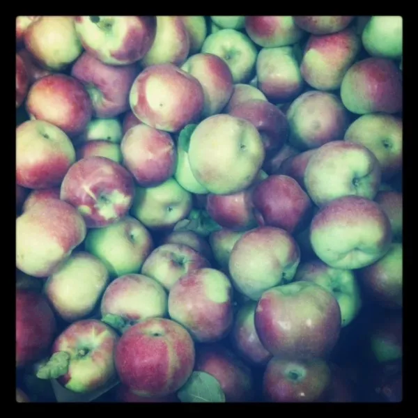 Apples 600x600 1 Monday Musings + Pumpkin, Sweet Potato, & Black Bean Chili (revisited)