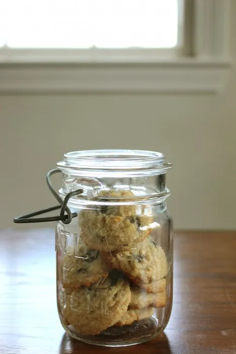 IMG 31061 466x700 1 Blog Bites XII