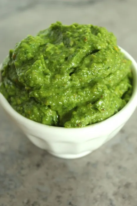 IMG 3631 466x700 1 Creamy Avocado, Cilantro, & Pistachio Pesto