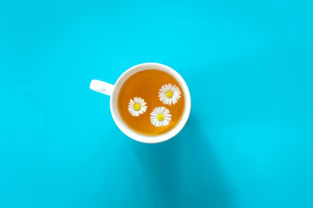 chamomile tea cup with blue background.